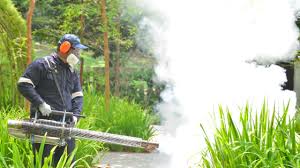 Best Pest Exclusion Services  in Steilacoom, WA